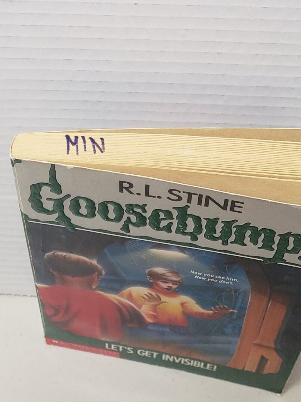 Goosebumps Book: Let's Get Invisible! - Picture 4 of 4